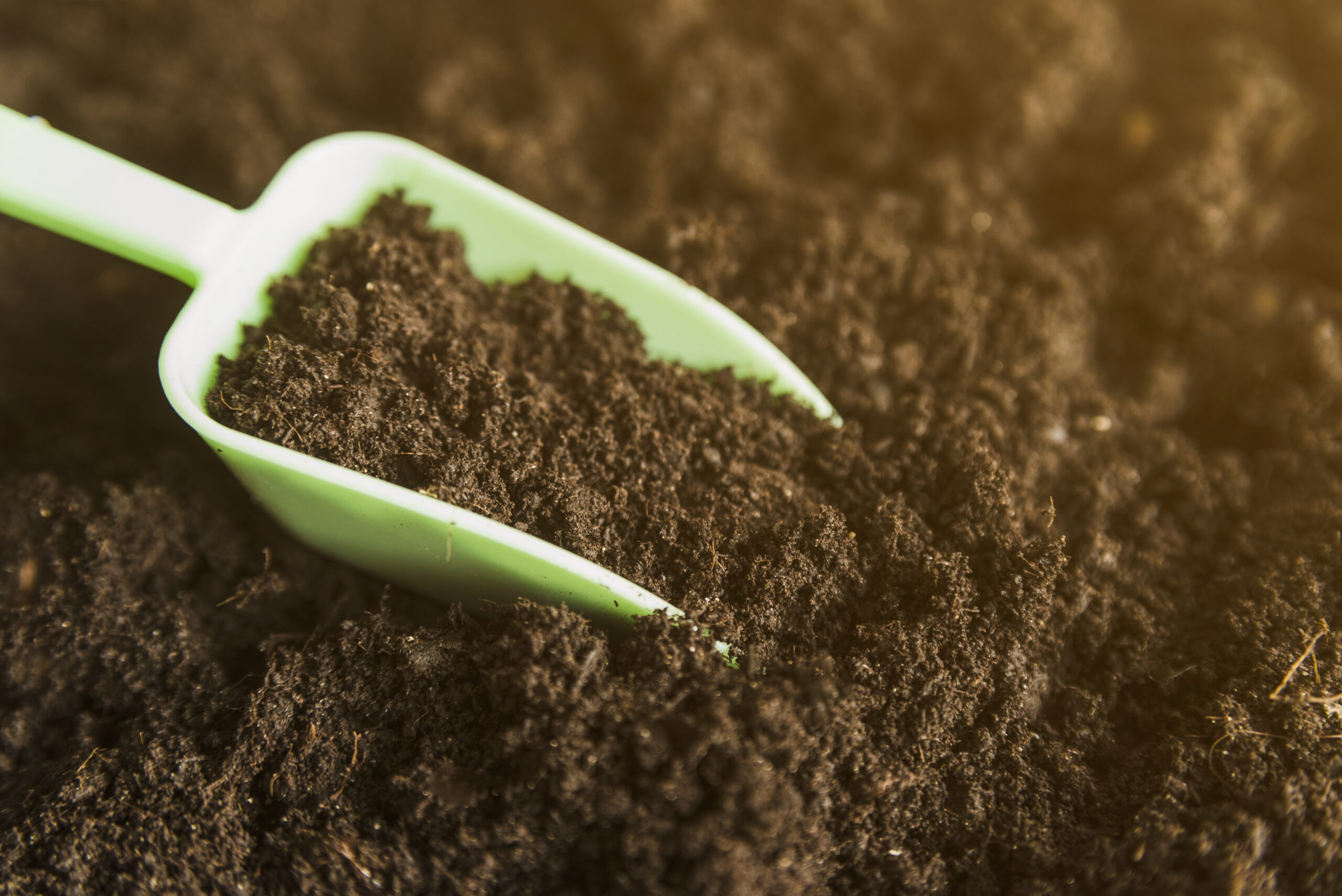 green-measuring-scoop-dark-soil